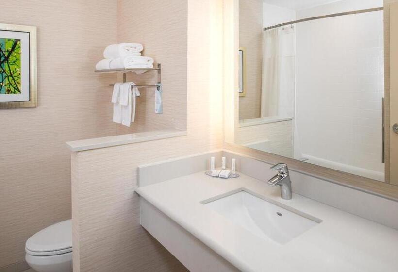 اتاق استاندارد برای معلولان, Fairfield Inn & Suites By Marriott Akron Stow