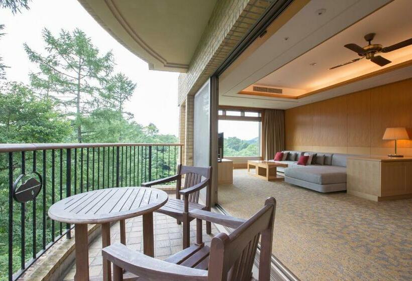 סוויטה נוף לגינה, Karuizawa Asama Prince