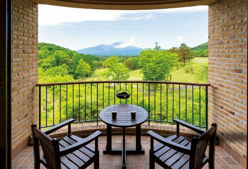 غرفة قياسية, Karuizawa Asama Prince