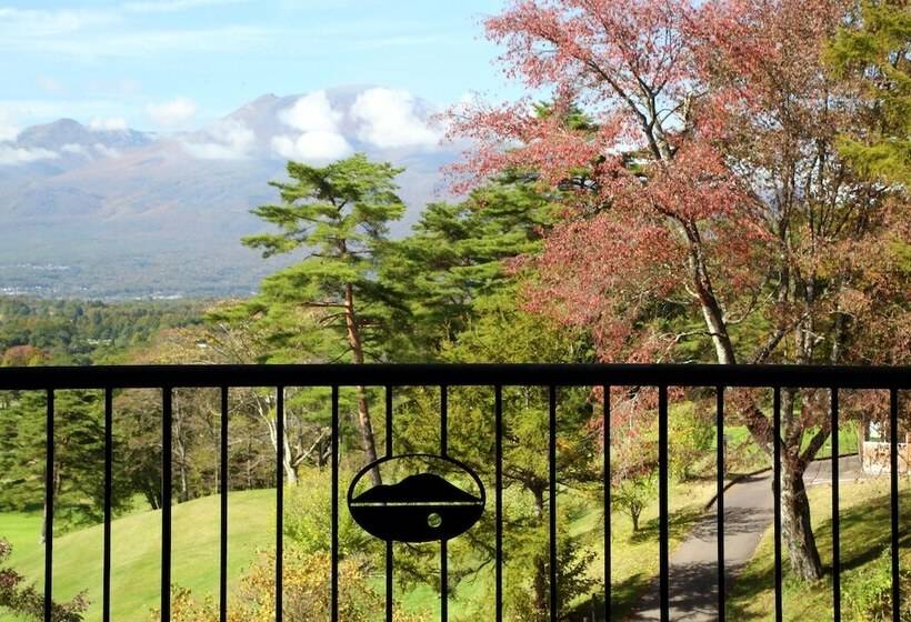 Номер Комфорт, Karuizawa Asama Prince