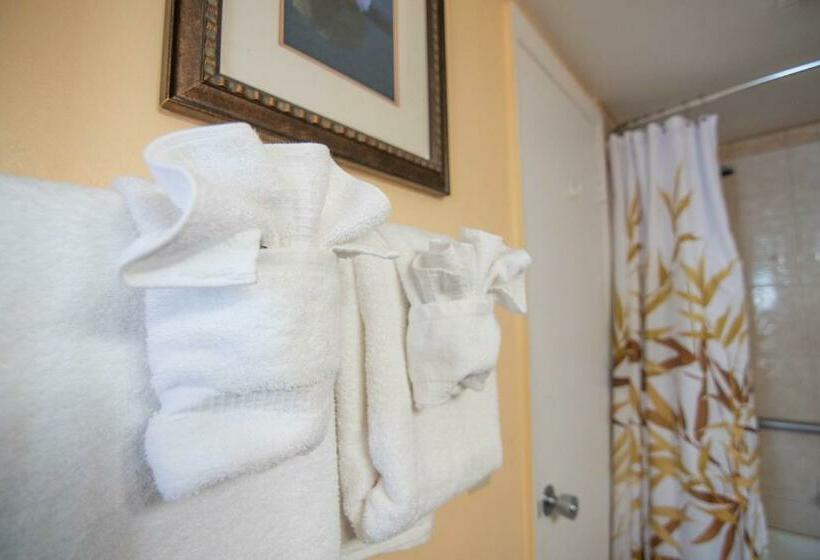 침실 1개 아파트, Palm Beach Waterfront Suites