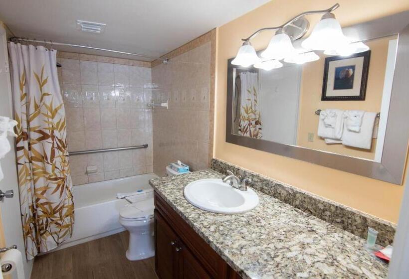 شقة غرفة واحدة, Palm Beach Waterfront Suites