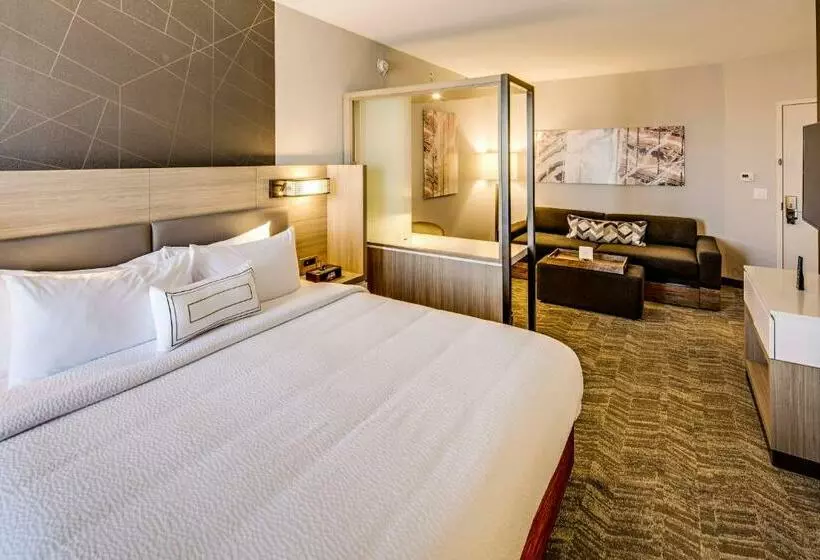 エクゼクティブスイート, Springhill Suites By Marriott Dayton Vandalia