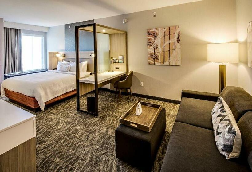 מיטת קינג בסוויטה, Springhill Suites By Marriott Dayton Vandalia