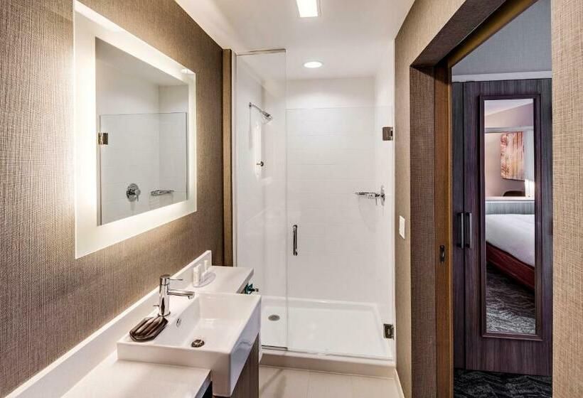 Люкс Кровать Кинг, Springhill Suites By Marriott Dayton Vandalia