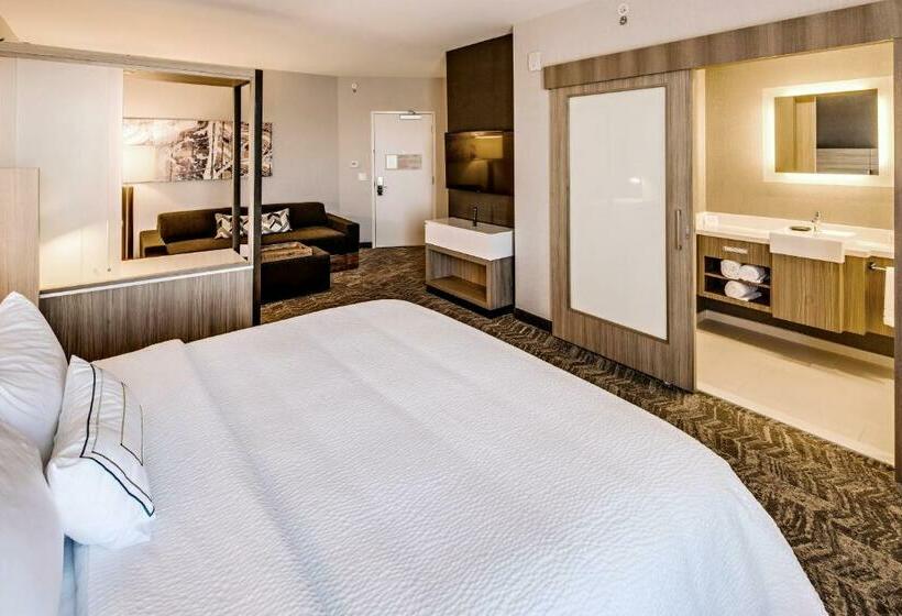 מיטת קינג בסוויטה, Springhill Suites By Marriott Dayton Vandalia