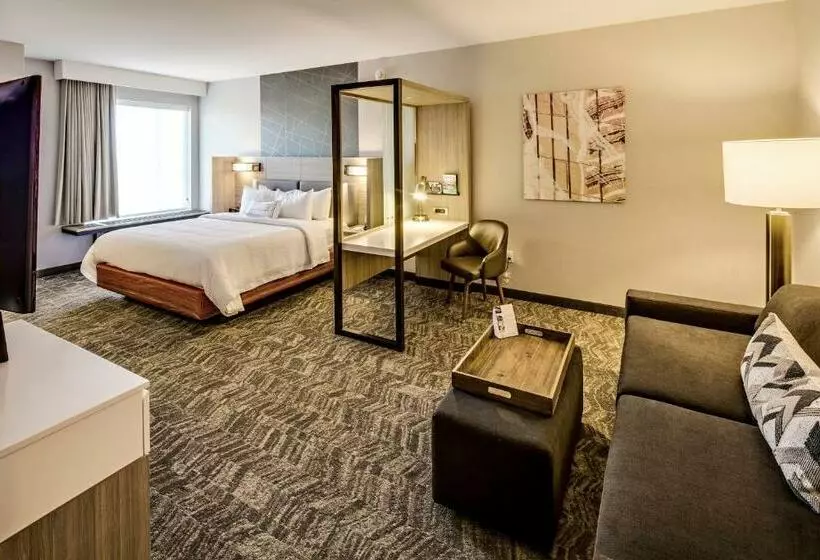キングサイズベッドのスイートルーム, Springhill Suites By Marriott Dayton Vandalia