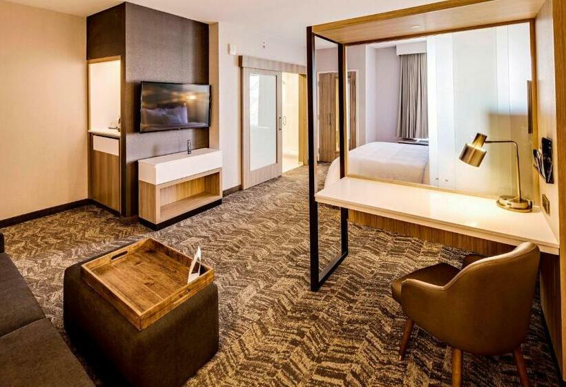 מיטת קינג בסוויטה, Springhill Suites By Marriott Dayton Vandalia