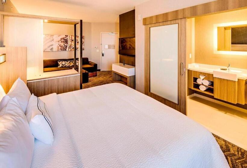 Люкс Кровать Кинг, Springhill Suites By Marriott Dayton Vandalia