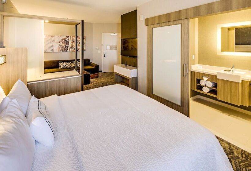 Люкс, Springhill Suites By Marriott Dayton Vandalia