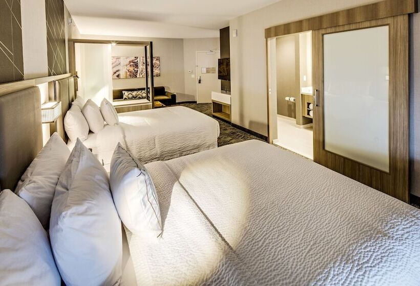 Люкс, Springhill Suites By Marriott Dayton Vandalia