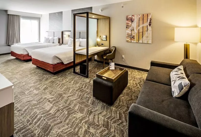 スイート, Springhill Suites By Marriott Dayton Vandalia