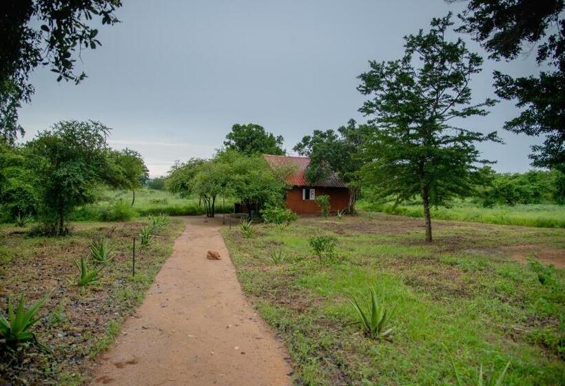 חדר סטנדרט נוף לגינה, Animal View Point Yala