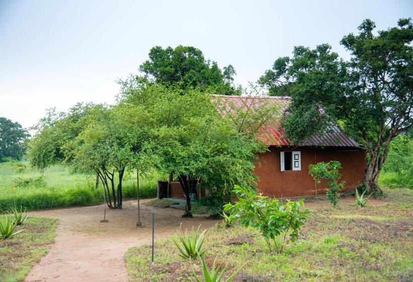Номер Стандарт Вид на Сад, Animal View Point Yala