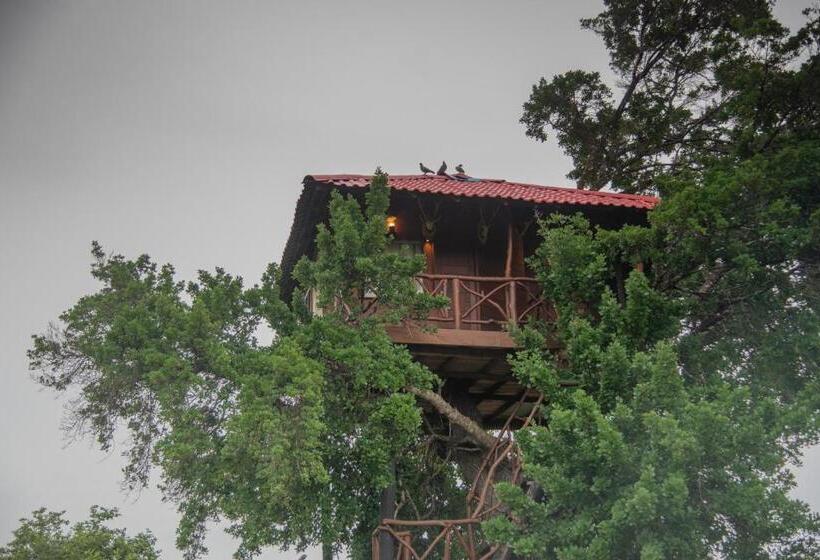 Номер Стандарт с Балконом, Animal View Point Yala