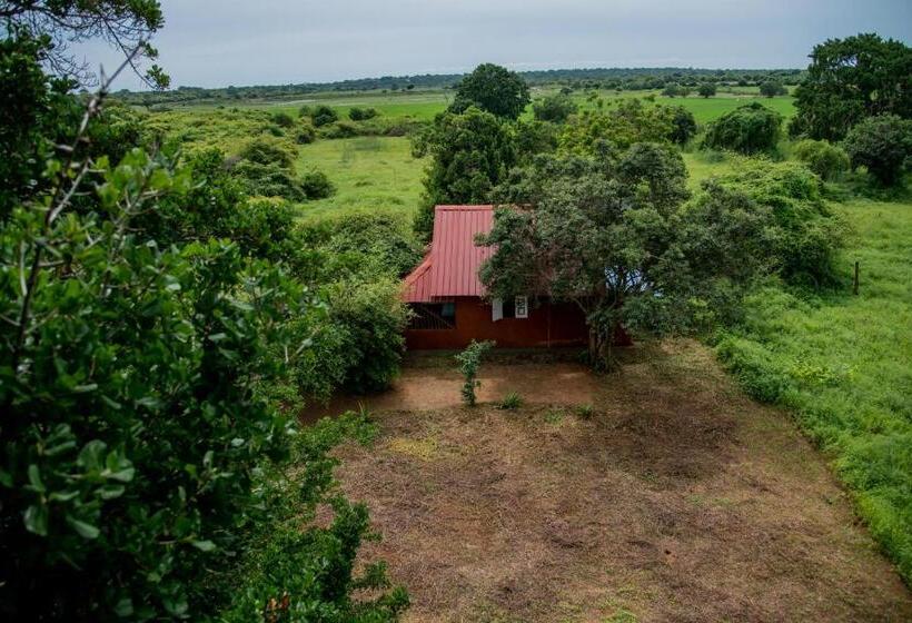 חדר סטנדרט עם מרפסת, Animal View Point Yala