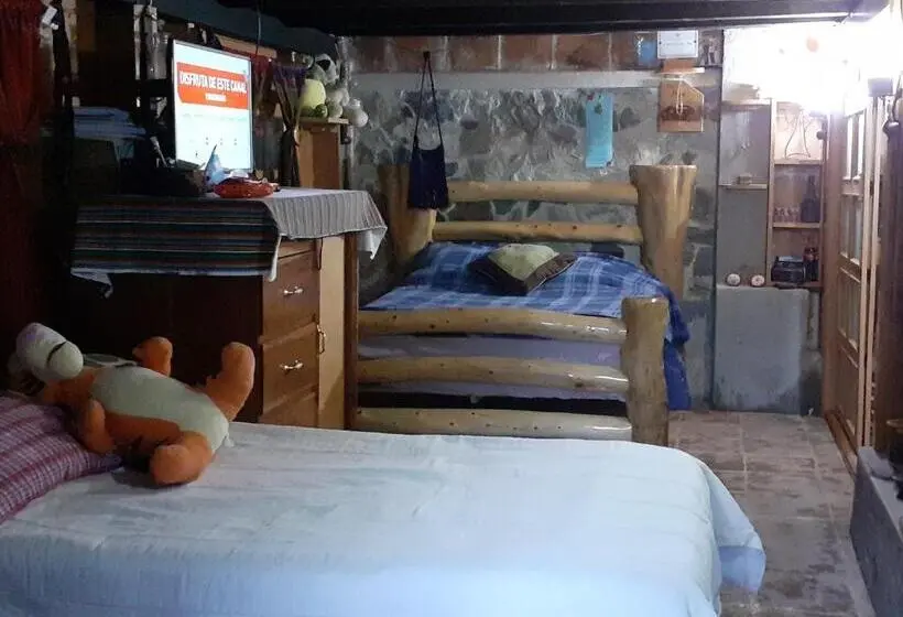 سوییت, La Cabaña De Will