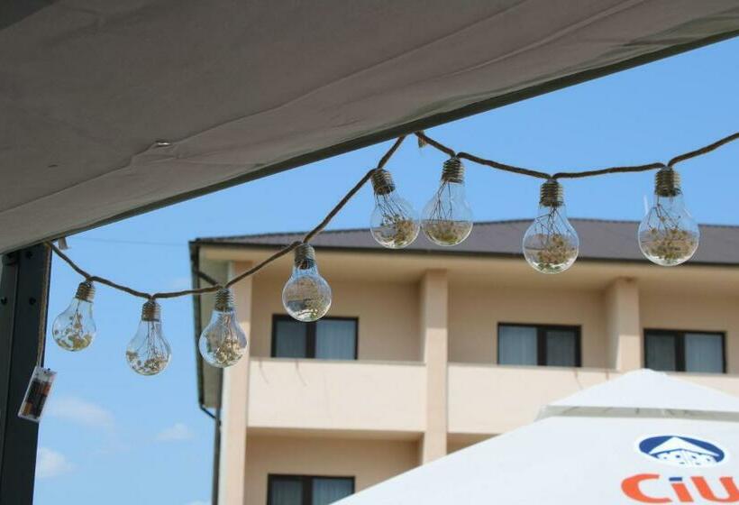 Номер Стандарт, Ariana