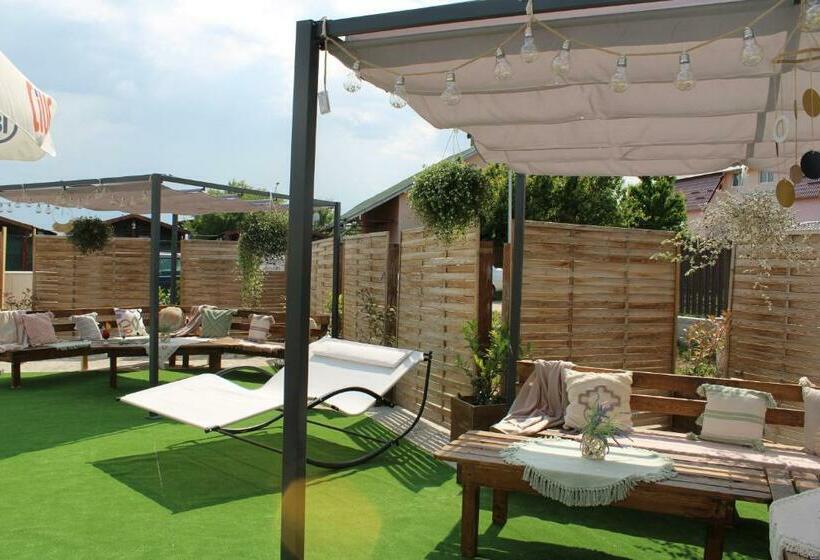 Номер Стандарт, Ariana