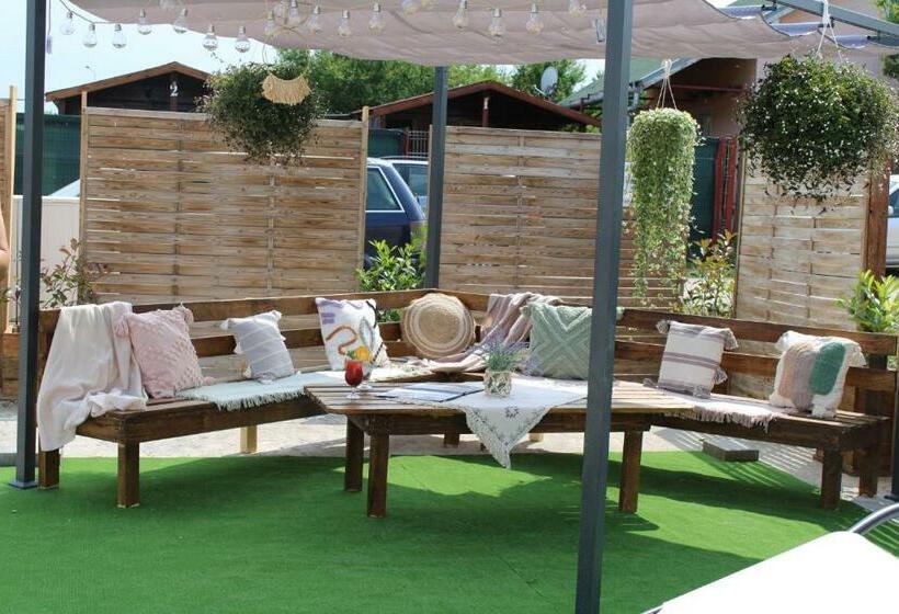 Номер Стандарт, Ariana