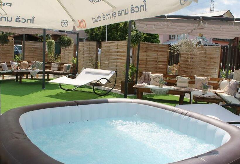 Номер Стандарт, Ariana