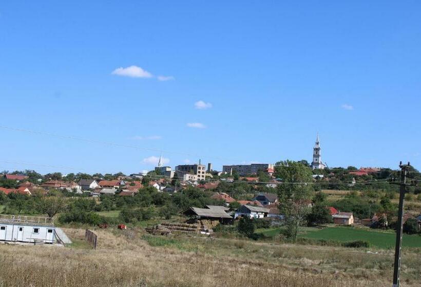 Номер Стандарт, Ariana