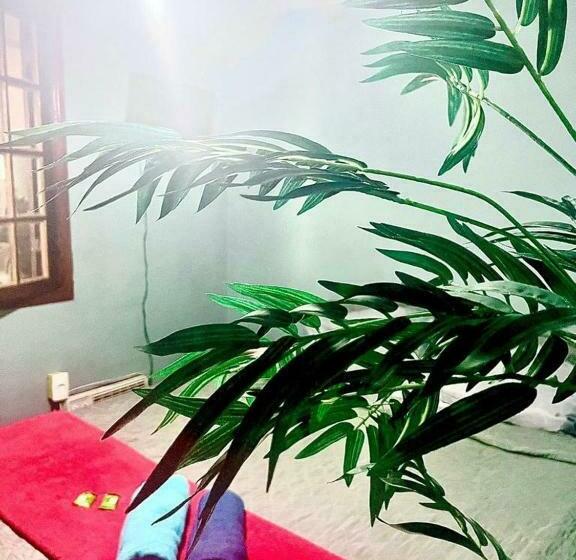 سوییت, Hostel Praia Do Recreio