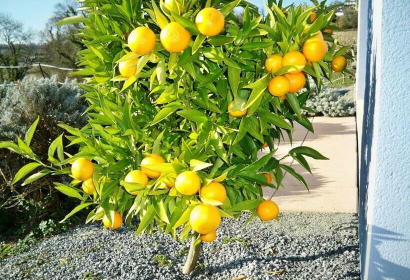 标准间, Chambres D Hôtes Relais Milord