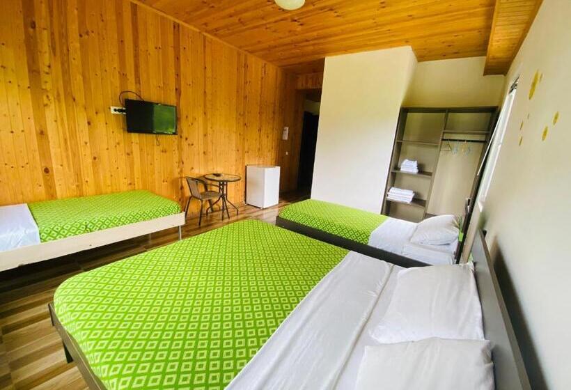 اتاق استاندارد چهار تخته با چشمانداز دریا, Kaprovani Sand