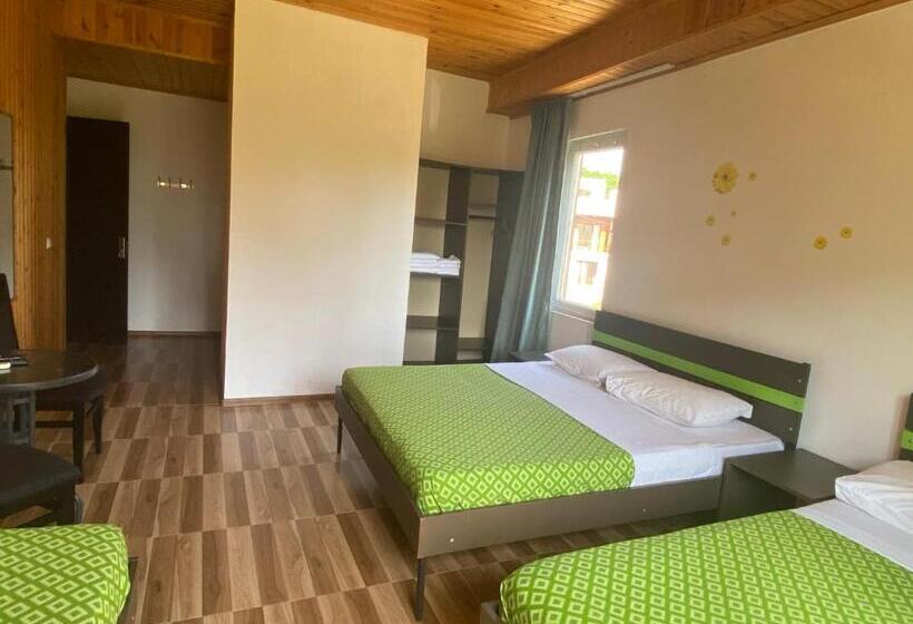 اتاق استاندارد چهار تخته با چشمانداز دریا, Kaprovani Sand