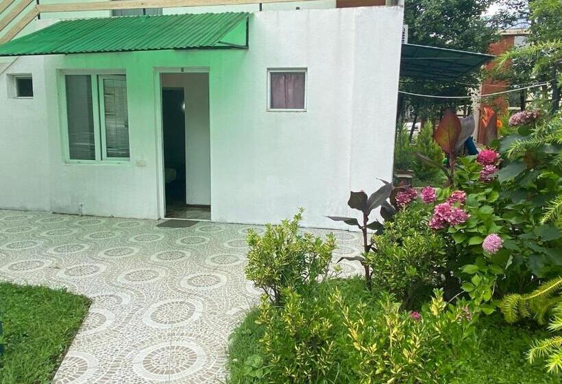 اتاق اکونومی, Kaprovani Sand