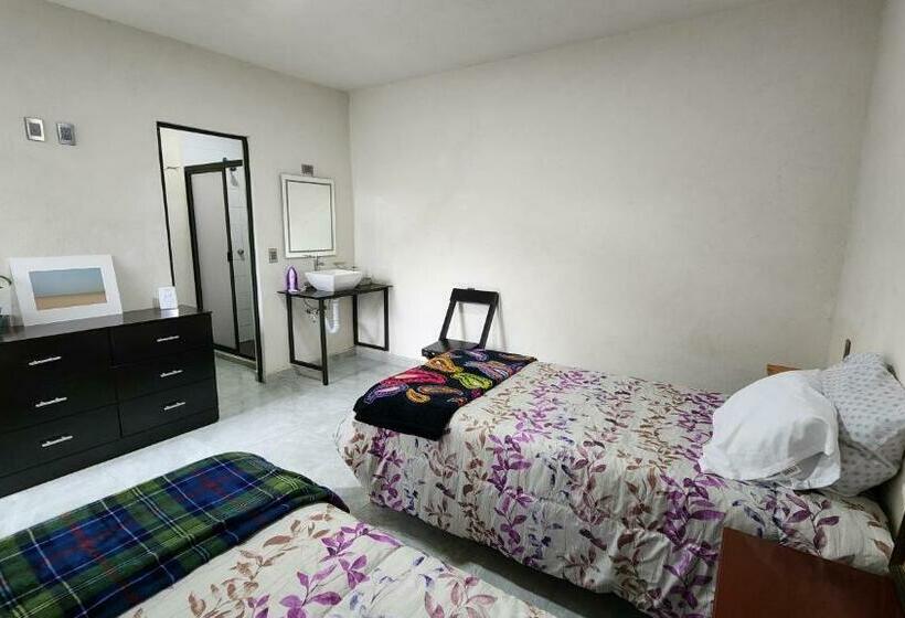 スタンダードルーム, La Palma Coliving