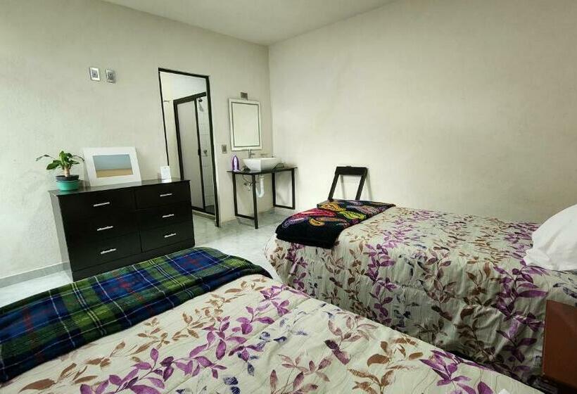 اتاق استاندارد, La Palma Coliving