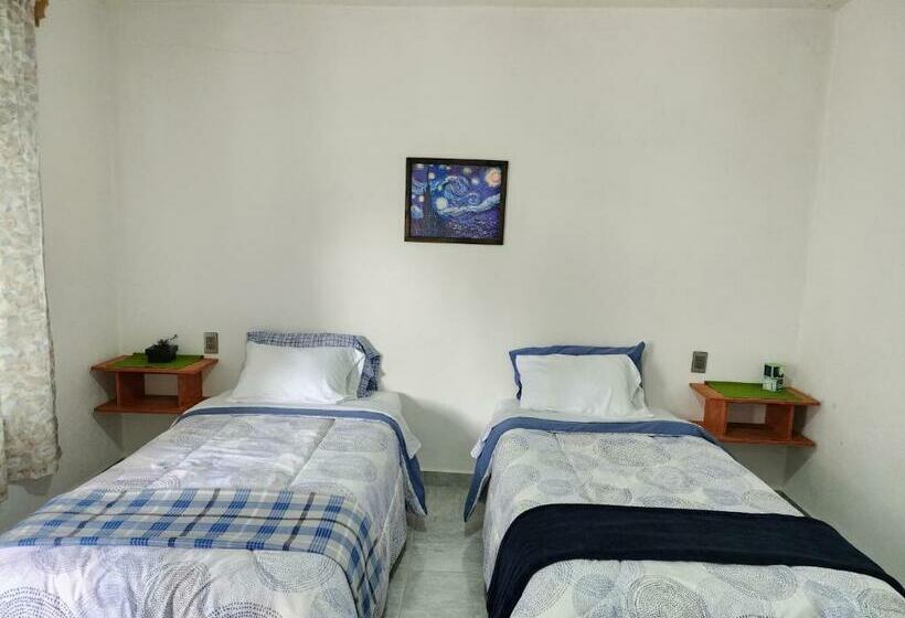 اتاق استاندارد, La Palma Coliving