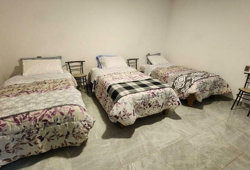 اتاق استاندارد سه نفره, La Palma Coliving