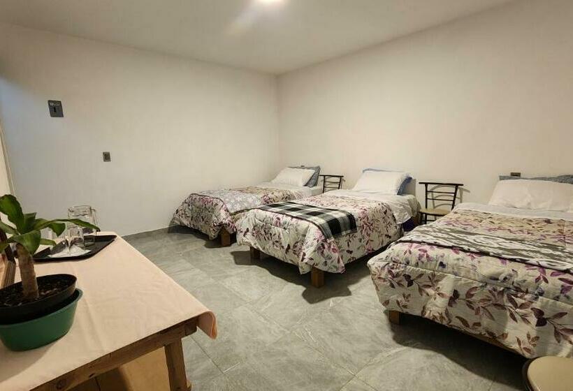 اتاق استاندارد سه نفره, La Palma Coliving