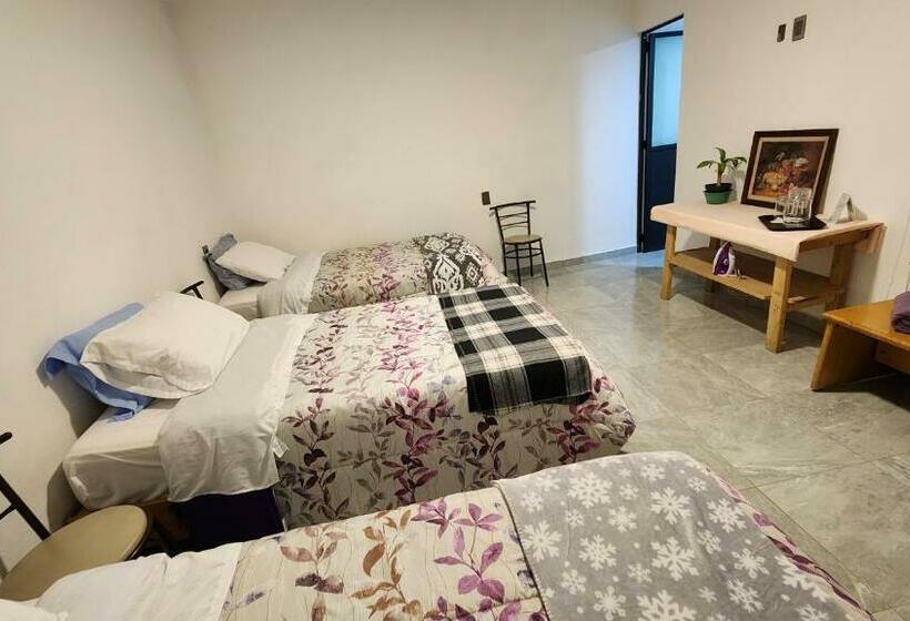 اتاق استاندارد سه نفره, La Palma Coliving