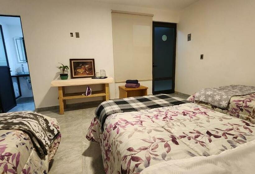スタンダードトリプルルーム, La Palma Coliving