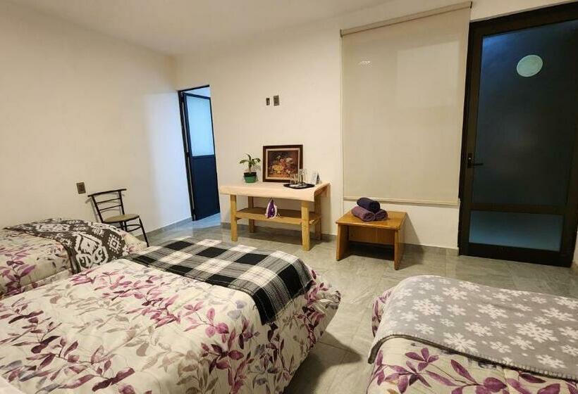 اتاق استاندارد سه نفره, La Palma Coliving