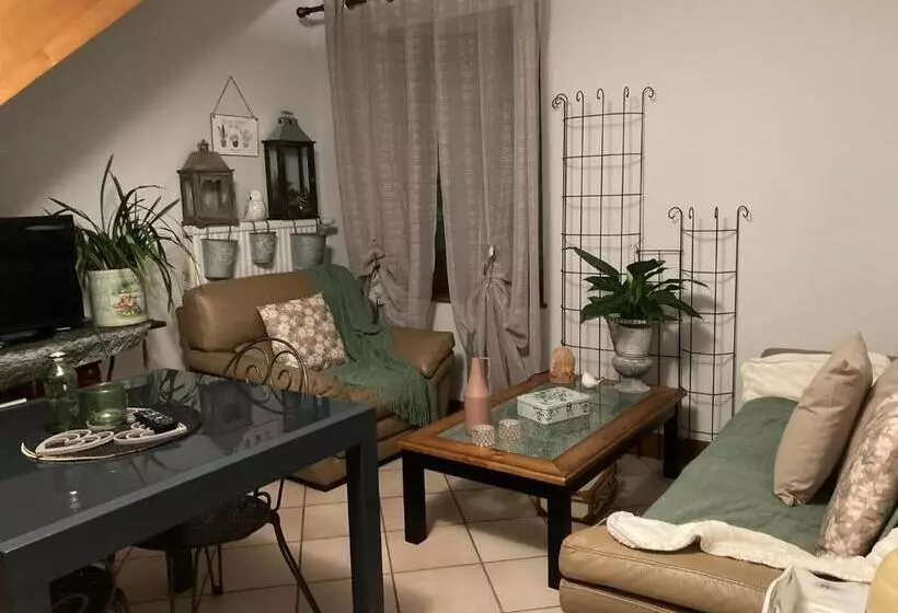 ベーシックルーム, La Maison D Ivona