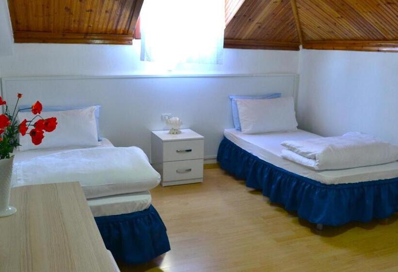 غرفة قياسية مزوَّدة بتراس, Tirana Central Guesthouse