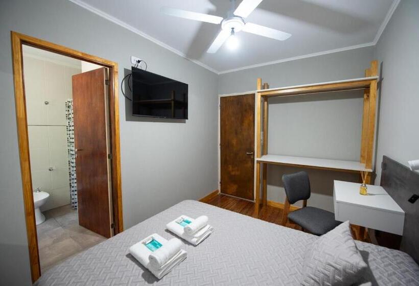 Номер Стандарт, Simón