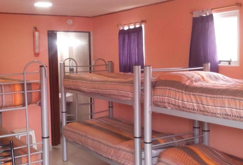 سرير فى غرفة مشتركه, Milenarios Hostel