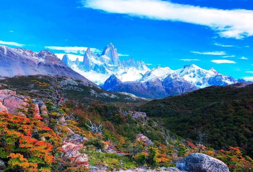 共用房间的床, Milenarios Hostel