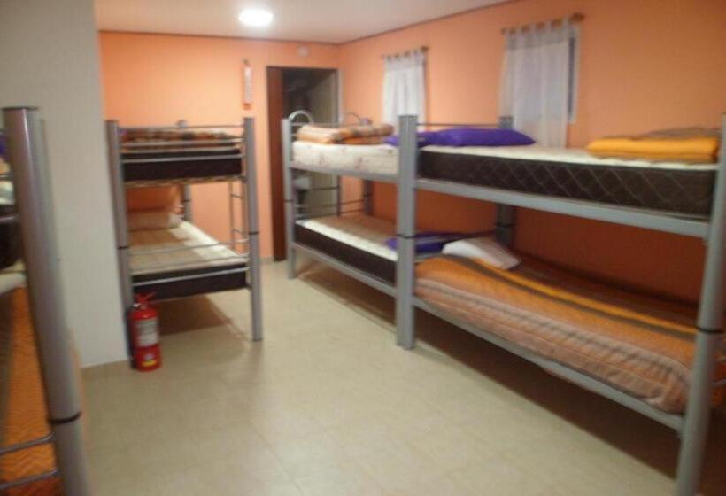 共用房间的床, Milenarios Hostel