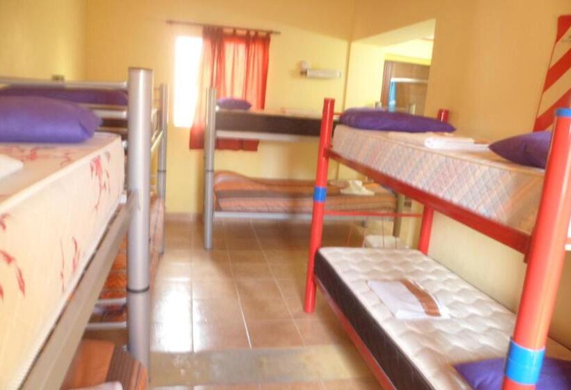 共用房间的床, Milenarios Hostel