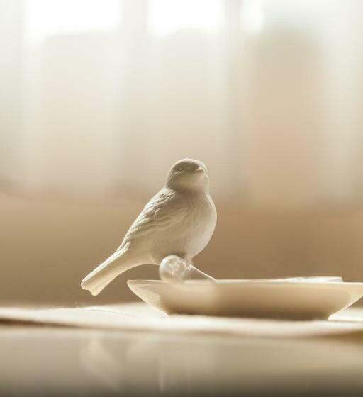 חדר סטנדרט יחיד, Altstadt