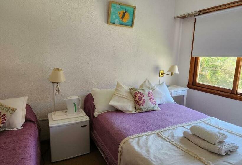 Standaard Driepersoonskamer, Barracuda