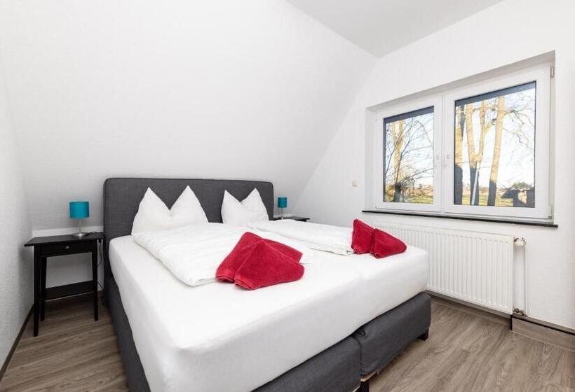 四人标准间, Ehlers