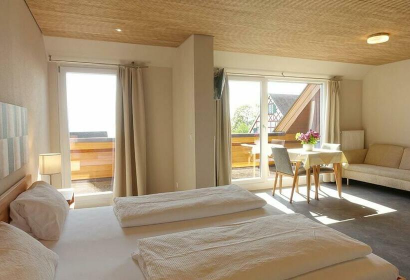 Standard studio with lake view, Gästehaus Hornstein